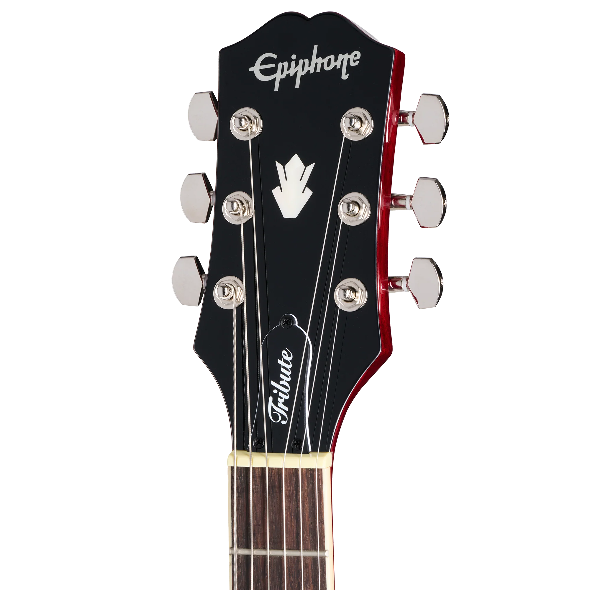 Epiphone SG Tribute - Image 7
