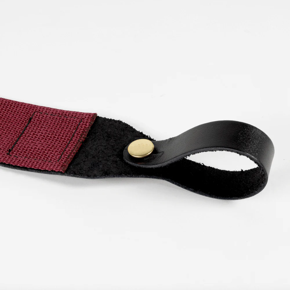 Ernie Ball Acoustic Guitar Strap - Image 13
