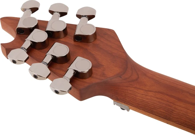 EVH Wolfgang WG Standard Exotic Bocote - Image 8
