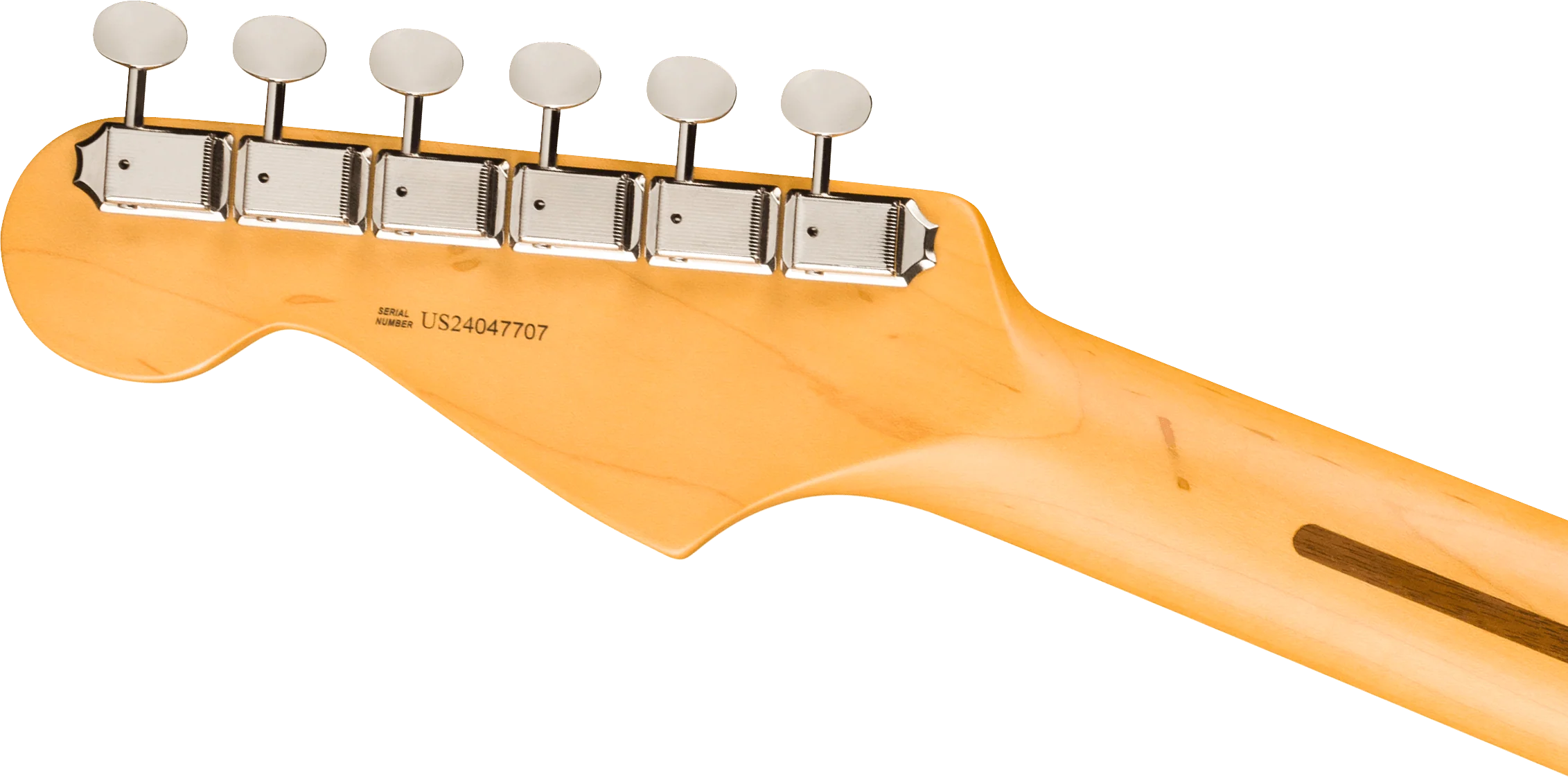 Fender American Professional Classic Stratocaster - Image 13