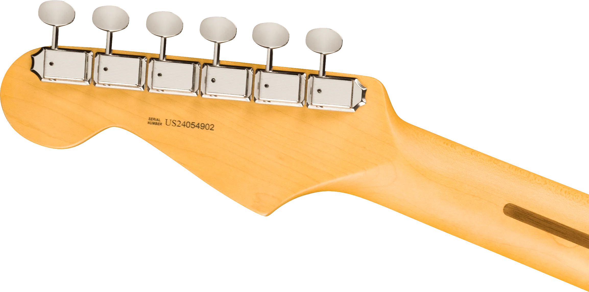 Fender American Professional Classic Stratocaster - Image 19