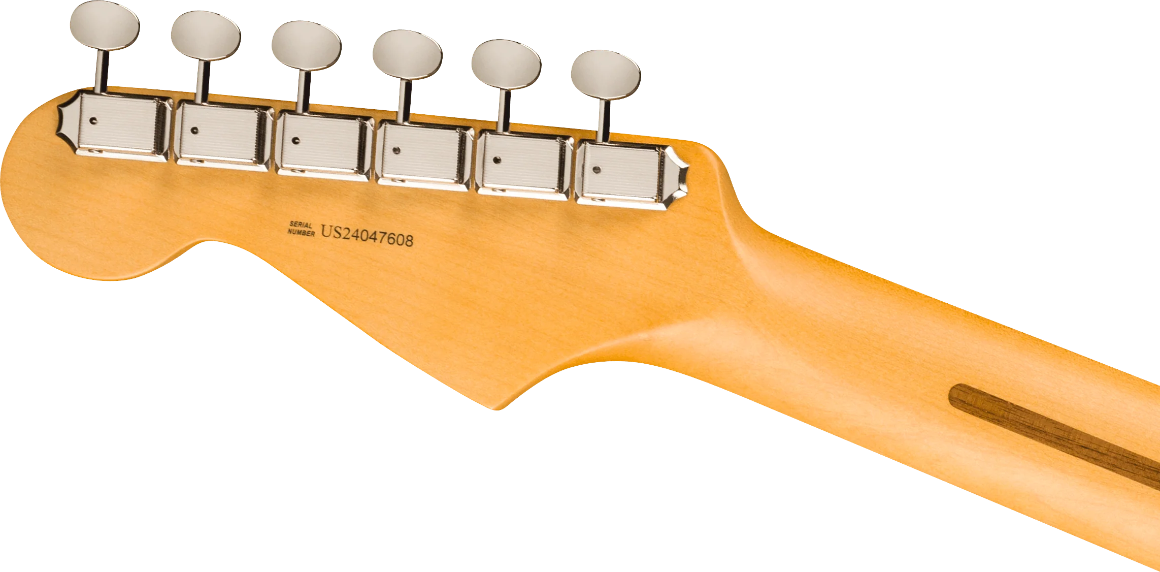 Fender American Professional Classic Stratocaster - Image 25