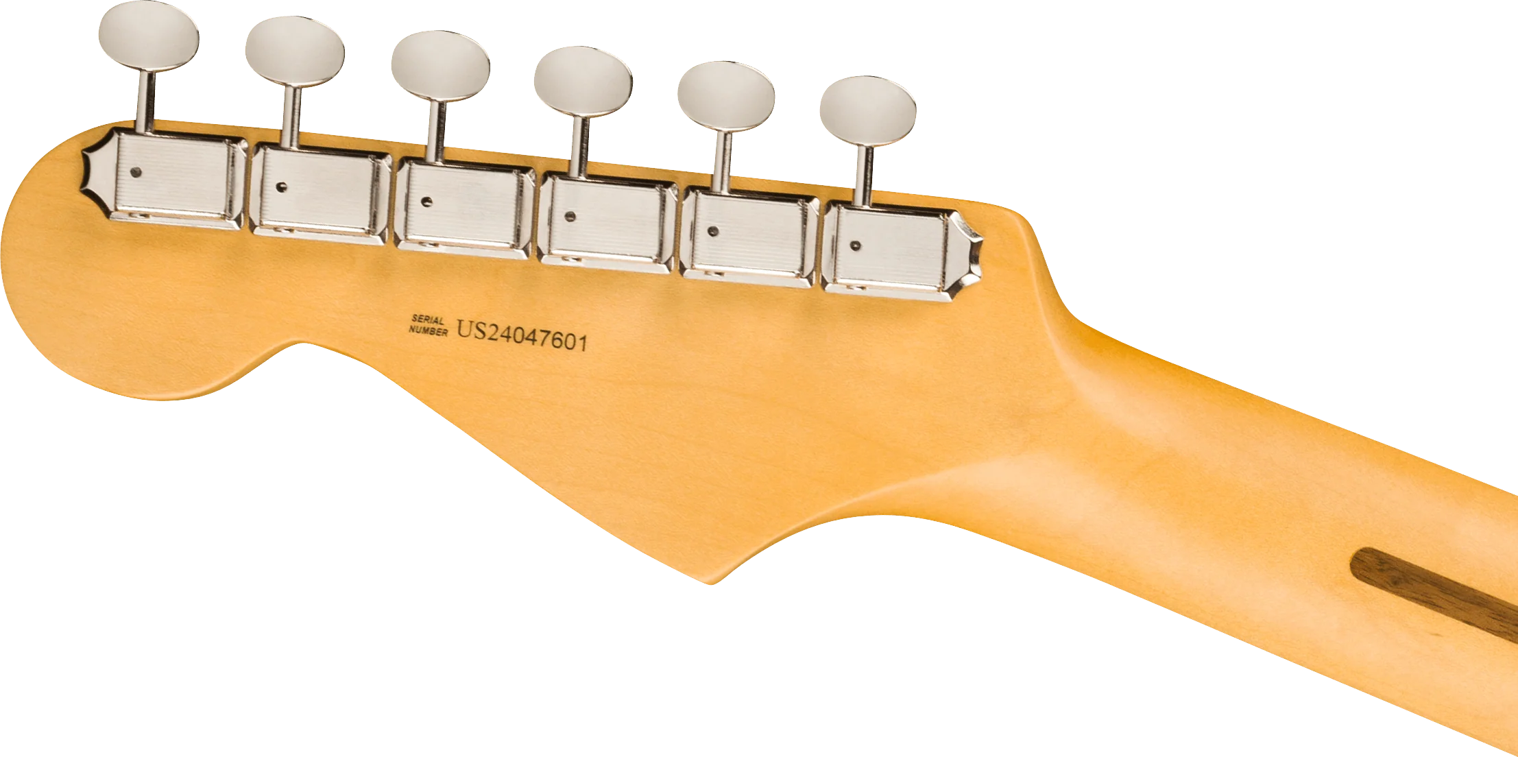 Fender American Professional Classic Stratocaster - Image 7