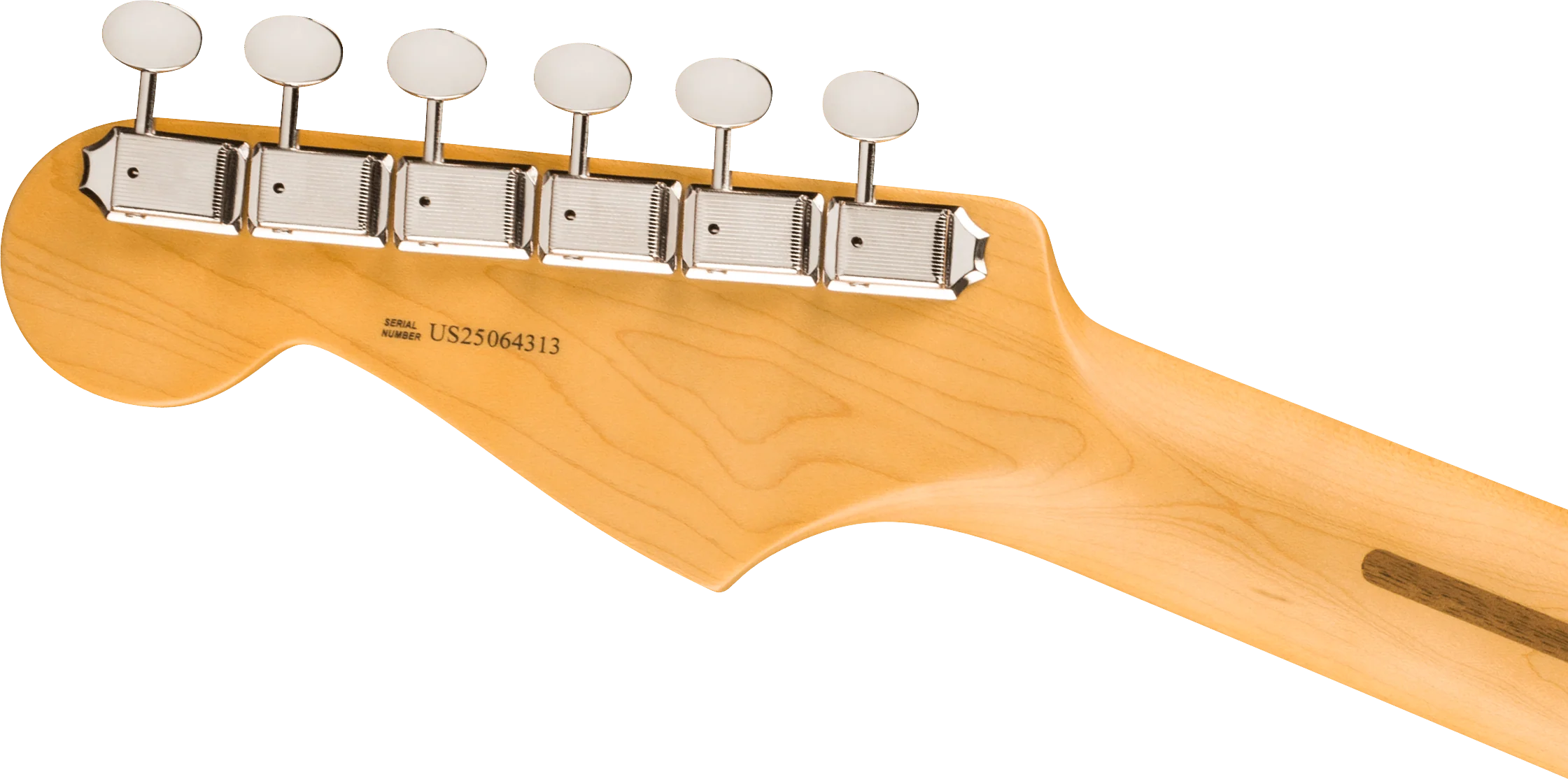 Fender American Professional Classic Stratocaster HSS - Image 19