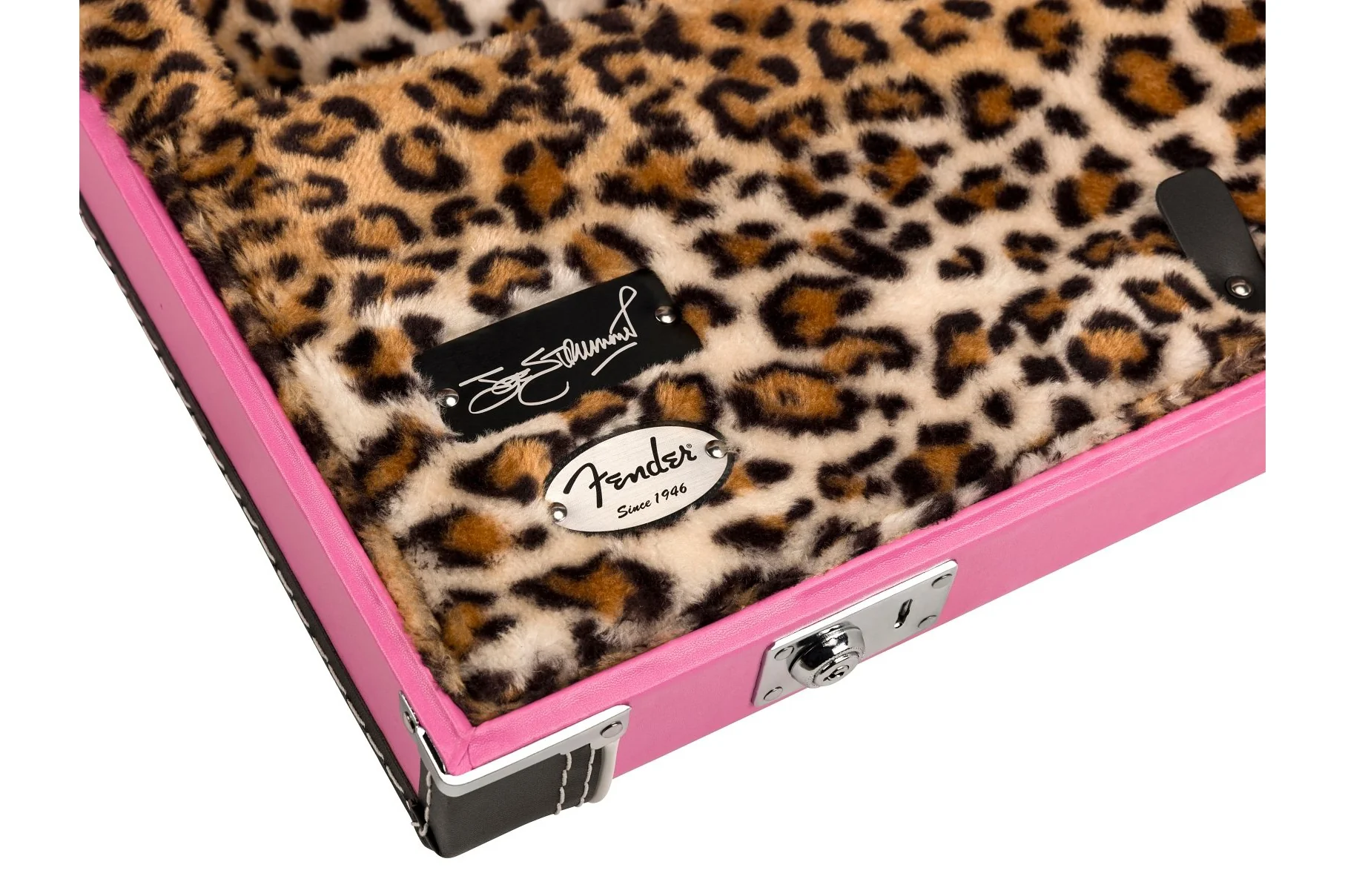 Fender Joe Strummer Tele/Strat Case - Image 5