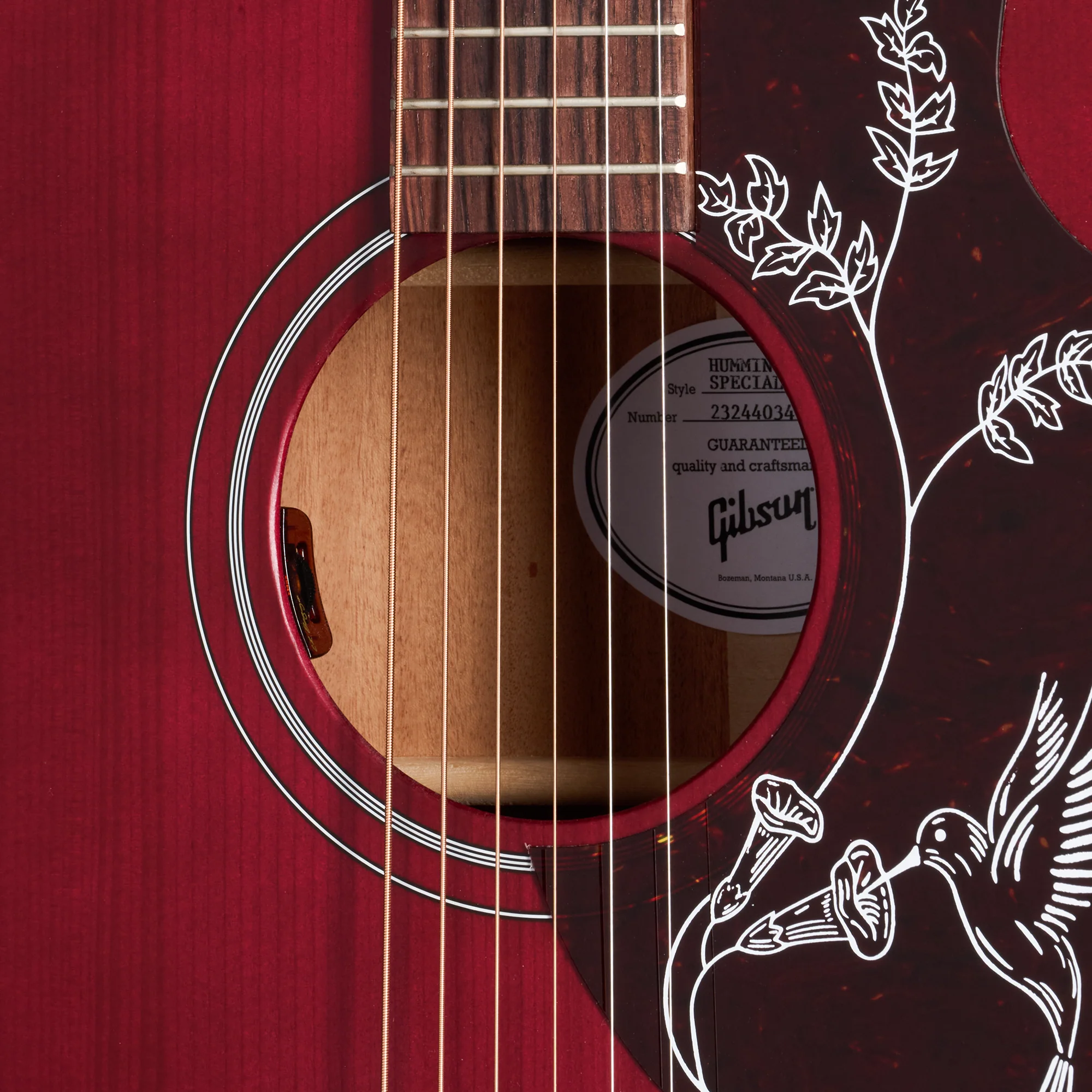 Gibson Hummingbird Special - Image 15